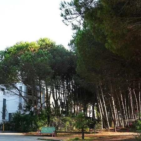 The Beachfront *